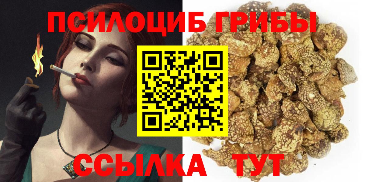 Галлюциногенные грибы MAGIC MUSHROOMS  где найти   Ленинск-Кузнецкий  Вход с VPN 