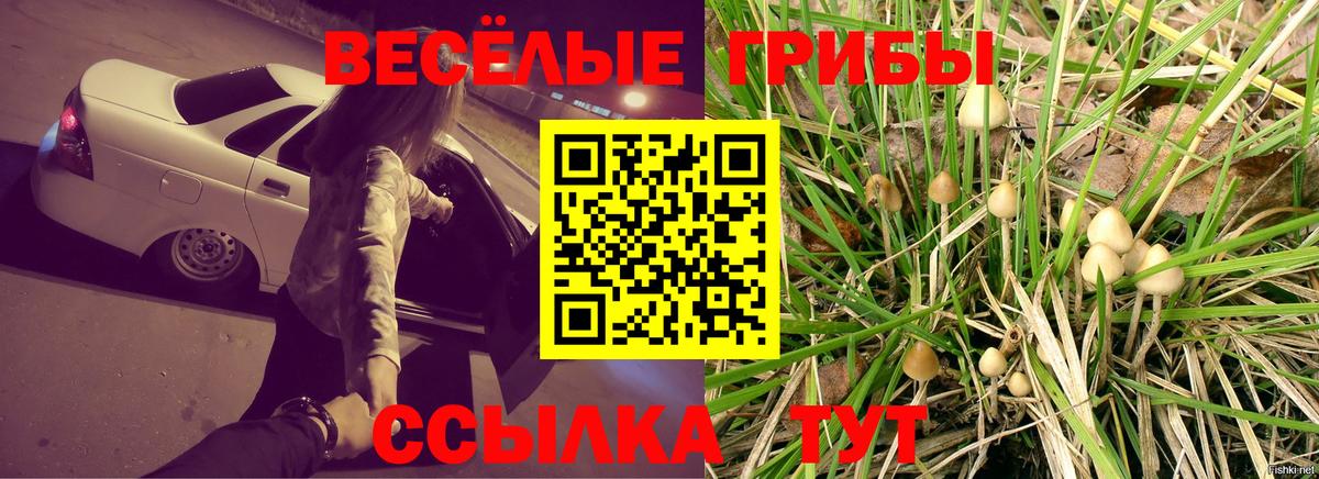 Псилоцибиновые грибы мухоморы Ленинск-Кузнецкий
