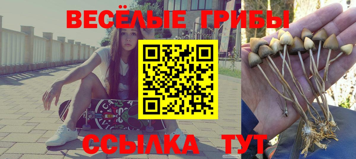 COCAIN Ленинск-Кузнецкий