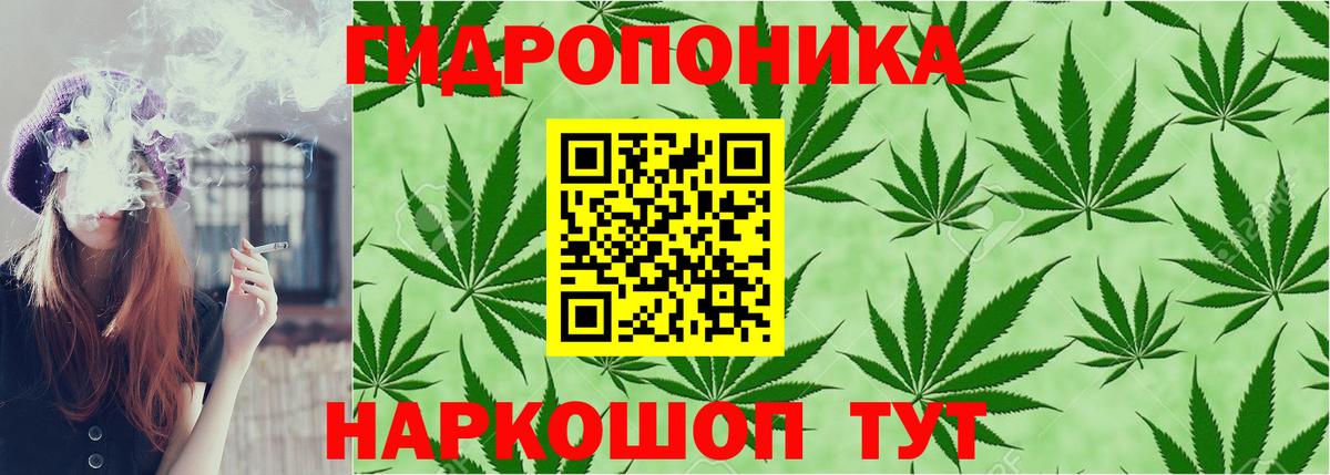 Бошки Шишки конопля  Канабис тримм  Вход с VPN  Ленинск-Кузнецкий  Бошки марихуана AK-47 
